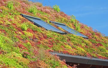 Leckfurin living roof systems