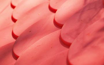 Leckfurin plastic roof costs