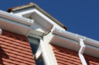 Leckfurin fascias