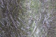 Leckfurin fibreglass roof work